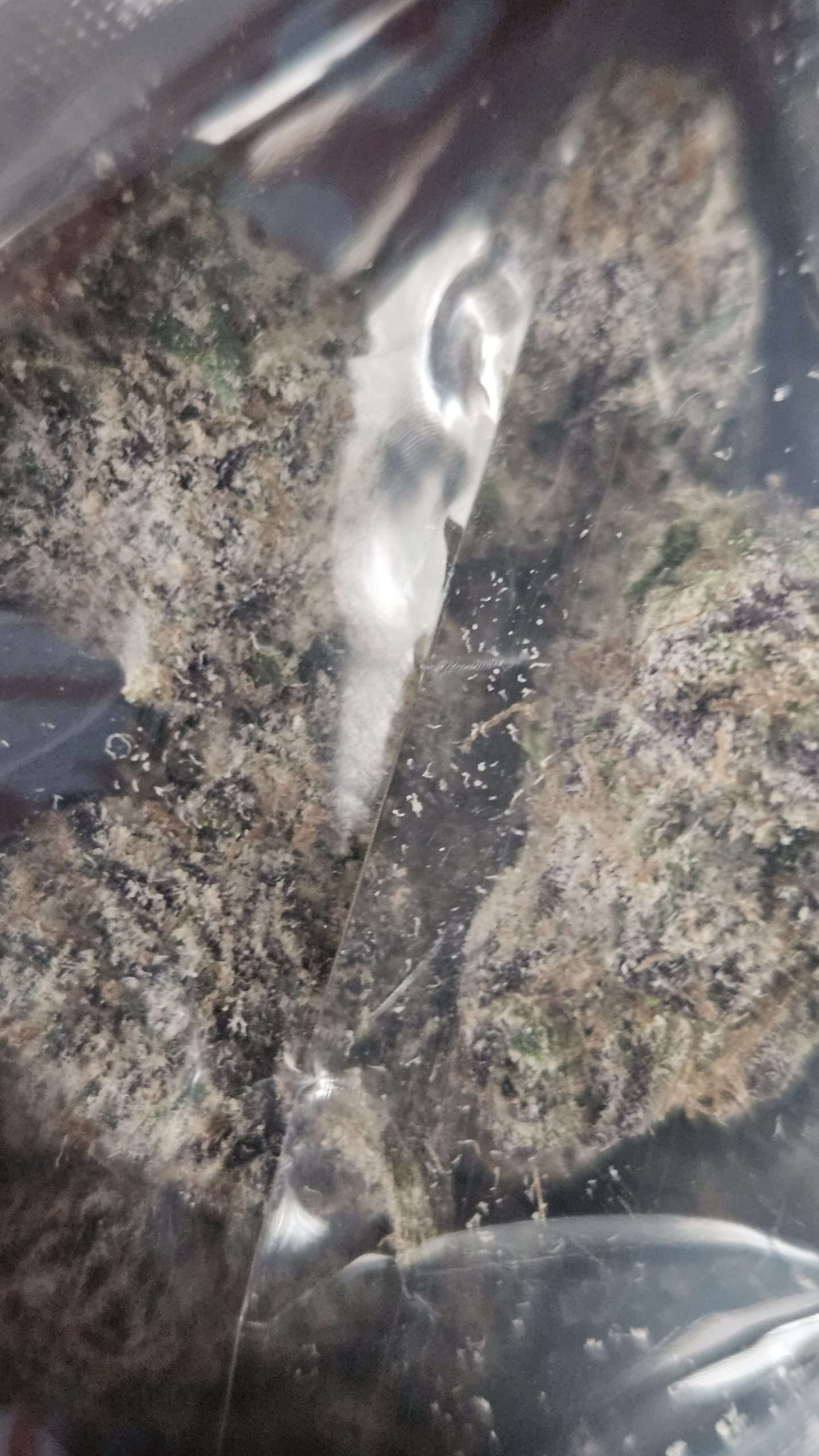 White Strawberry Runtz 32%THC (HYBRID) (3.5g) (EXOTIC) 2 White Strawberry runtz