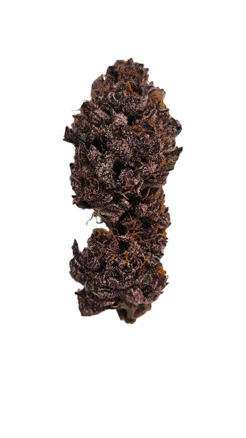 Tropicana Cookies (HYBRID) (RARE) 1 Cherry Pie and Tropicana Cookies genetics