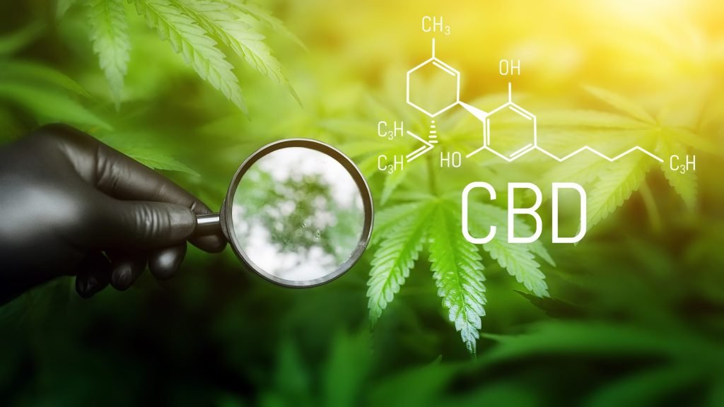 Navigating the Landscape of CBD Products in 2024: Trends, Innovations, and the Future of Cannabidiol. 7 Navigating the Landscape of CBD Products in 2024: Trends, Innovations, and the Future of Cannabidiol.
