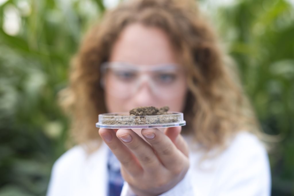 The Green Revolution: How Cannabis Is Changing the Face of Medicine 3 The Green Revolution: How Cannabis Is Changing the Face of Medicine