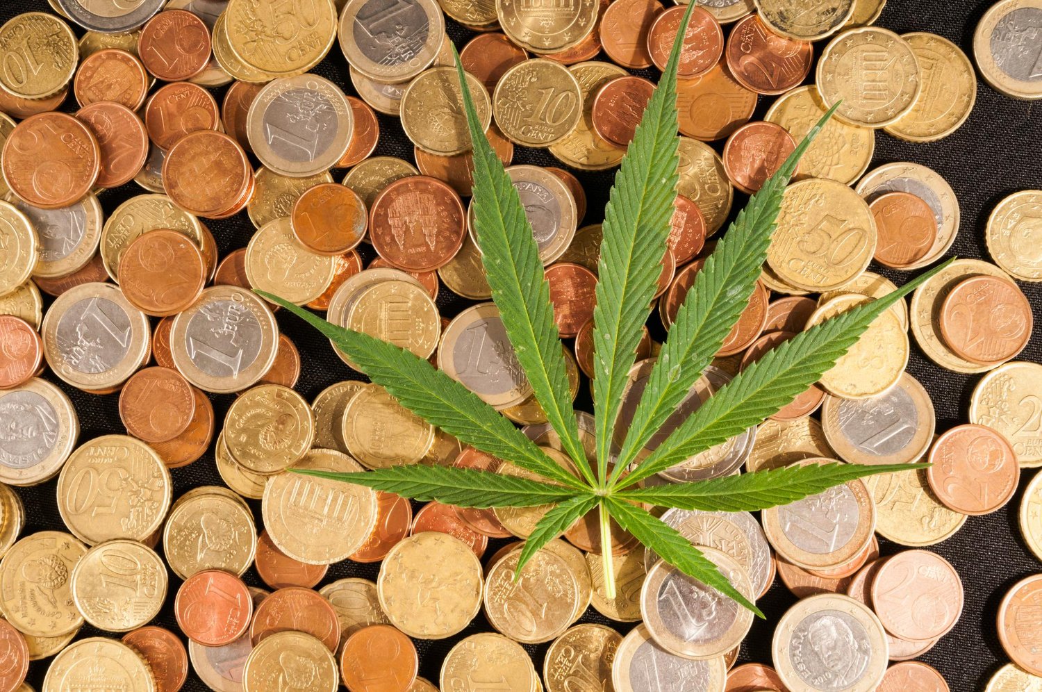 Economics of Cannabis