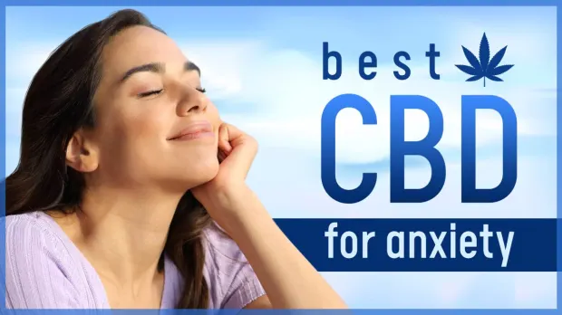 cannabis, cbd for anxiety