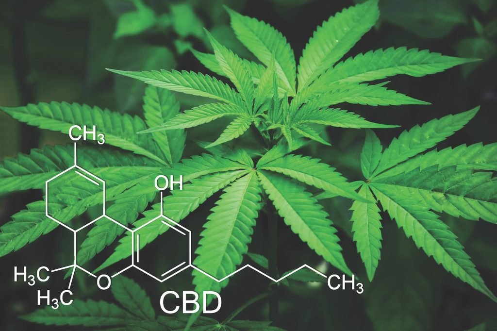 Cannabis and Microdosing