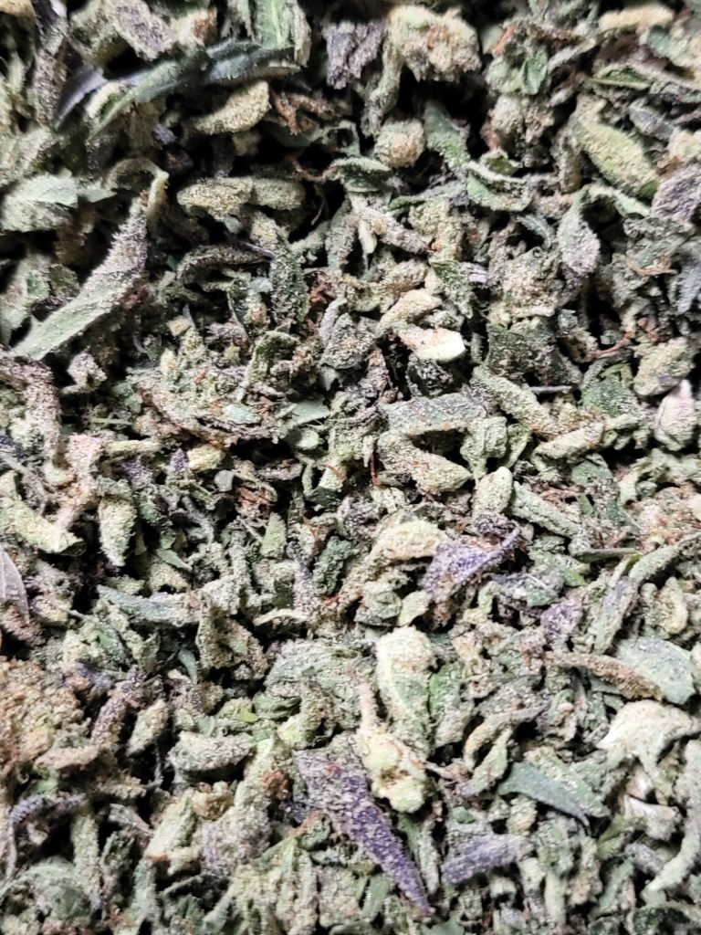 Purple Kush