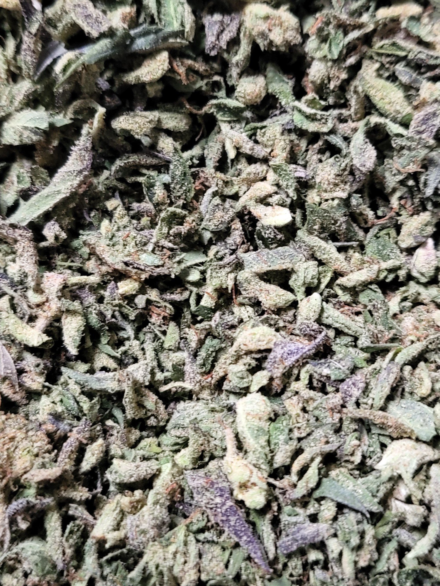 Purple Kush