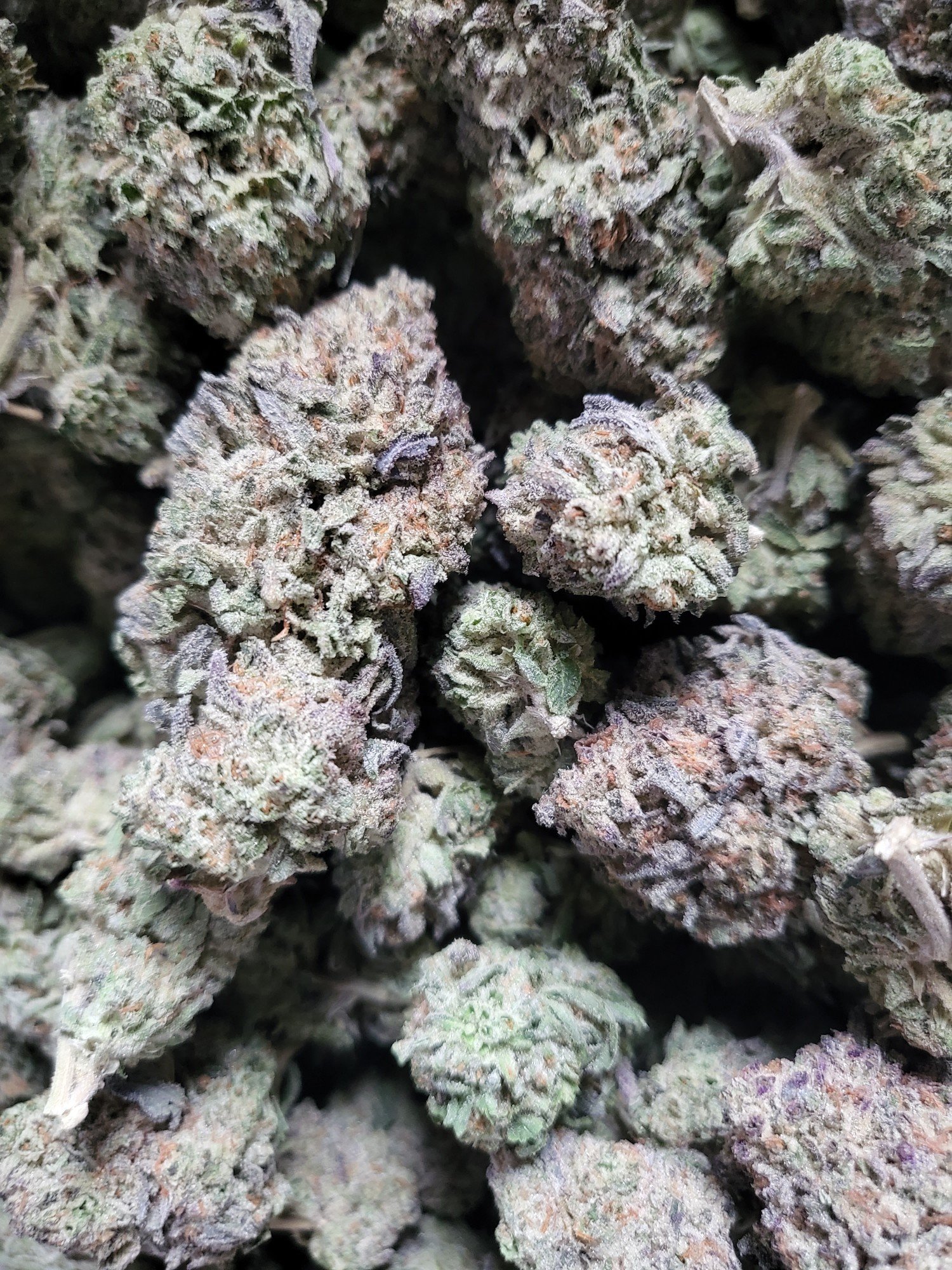 Oreoz ($130 Oz) 2 Oreoz bulk