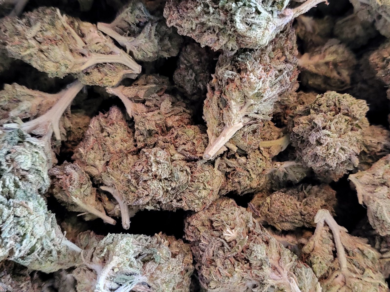 Blue Cookies ($120 Oz) 2 Blue Cookies ($120 Oz) - Image 2