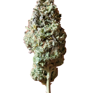 Blue Cookies ($120 Oz)