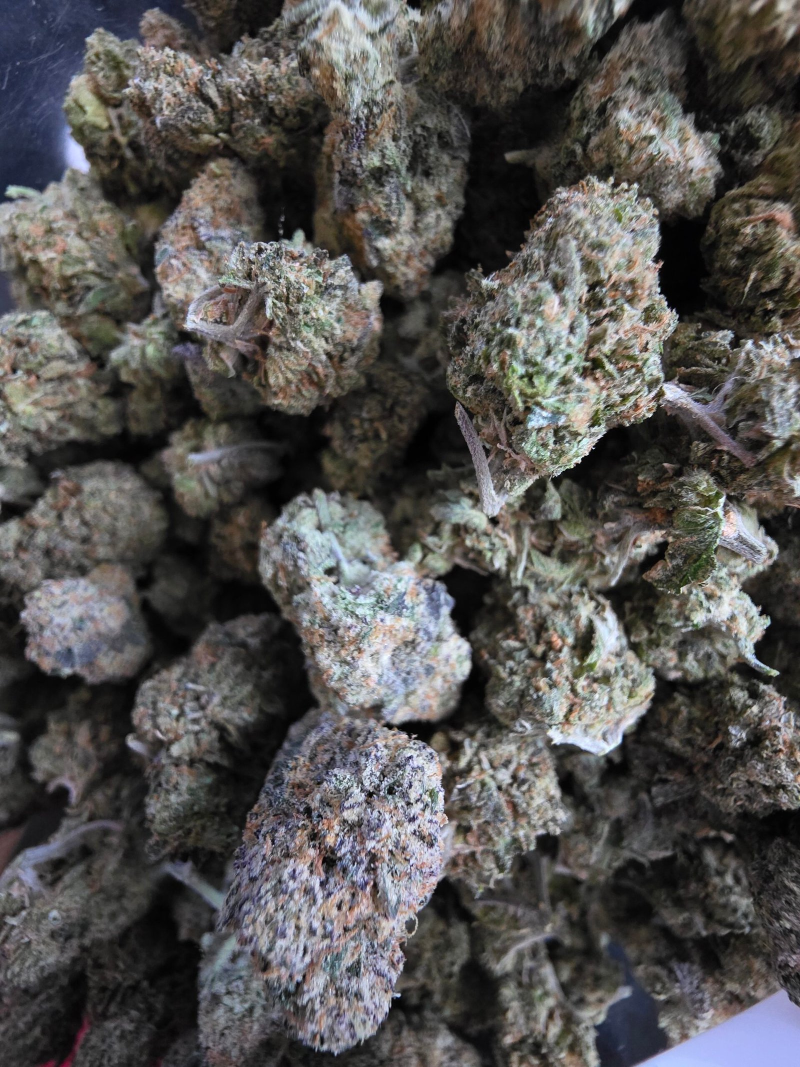 Cookies N' Cream (Indoor) 2 Cookies N' Cream (Indoor) - Image 2